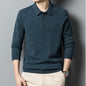 Men's Warm Sweater Autumn And Winter New Polo Collar Solid Color Sweater